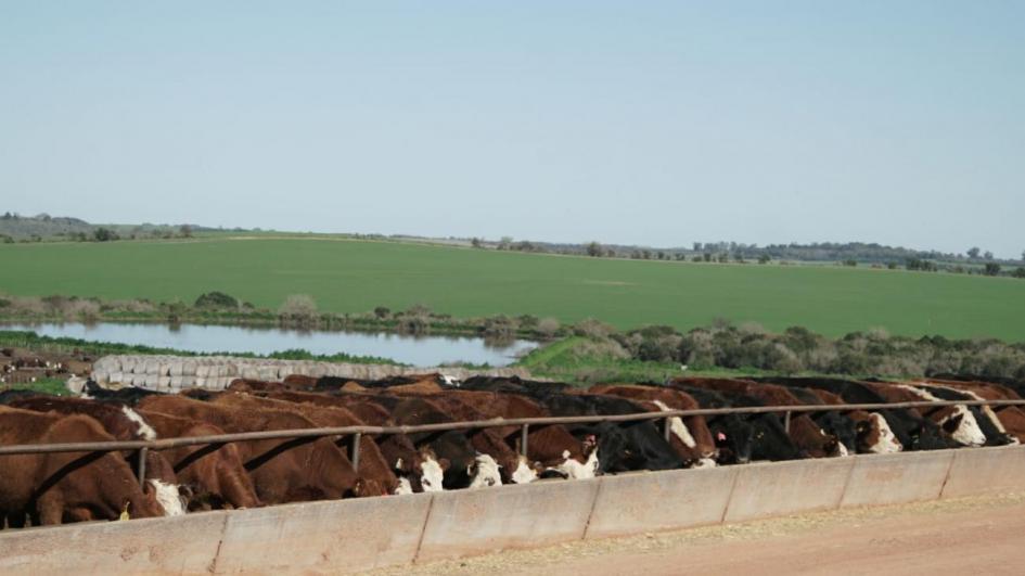 Recorrida por Río Negro y Soriano