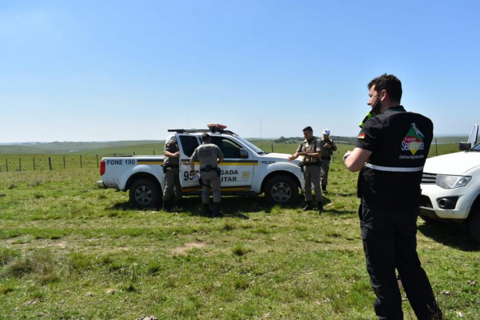 Controles en frontera