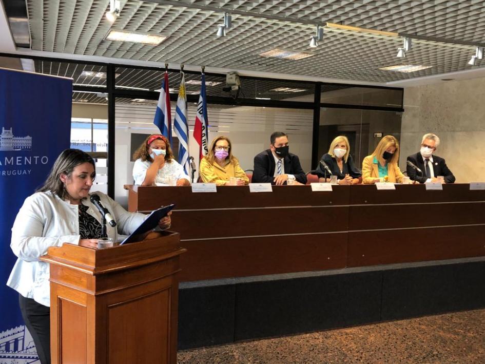 Comisión de Seguimiento del PNG Agro Comisión de Seguimiento del PNG Agro
