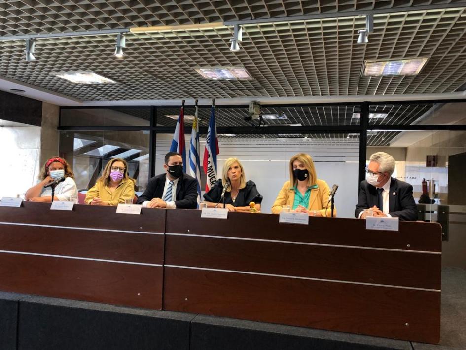 Comisión de Seguimiento del PNG Agro Comisión de Seguimiento del PNG Agro