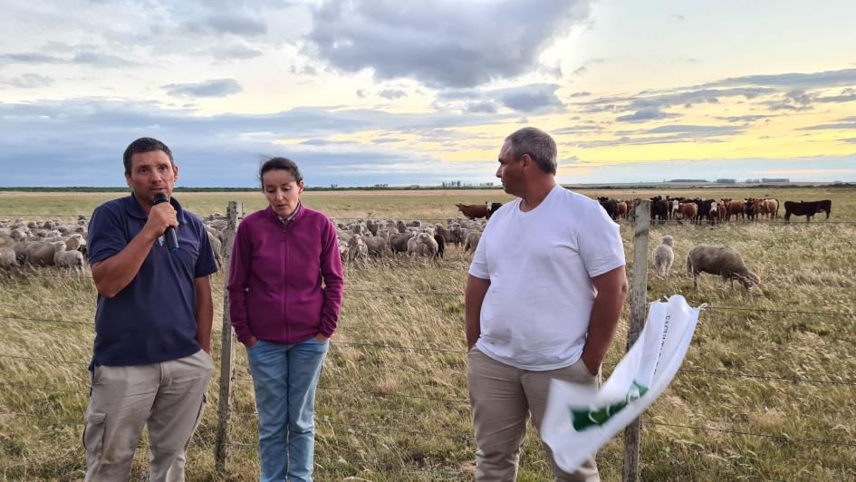 Jornada en el predio de Nicolás Errandonea y Karina Lombardo Productor y productora muestran un potrero con vacas y ovejas