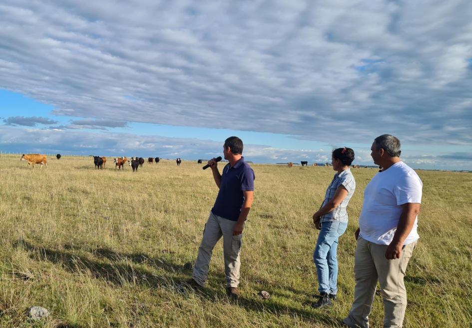 Productor y productora muestran un potrero con vacas y pasto