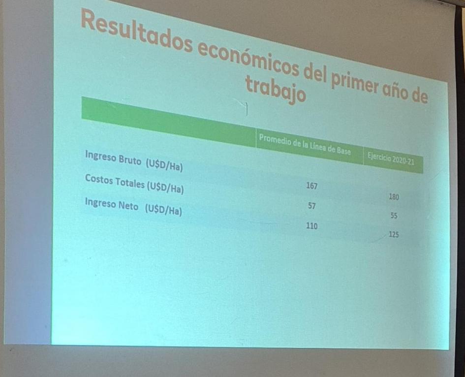 Presentación de resultados del predio de zona norte