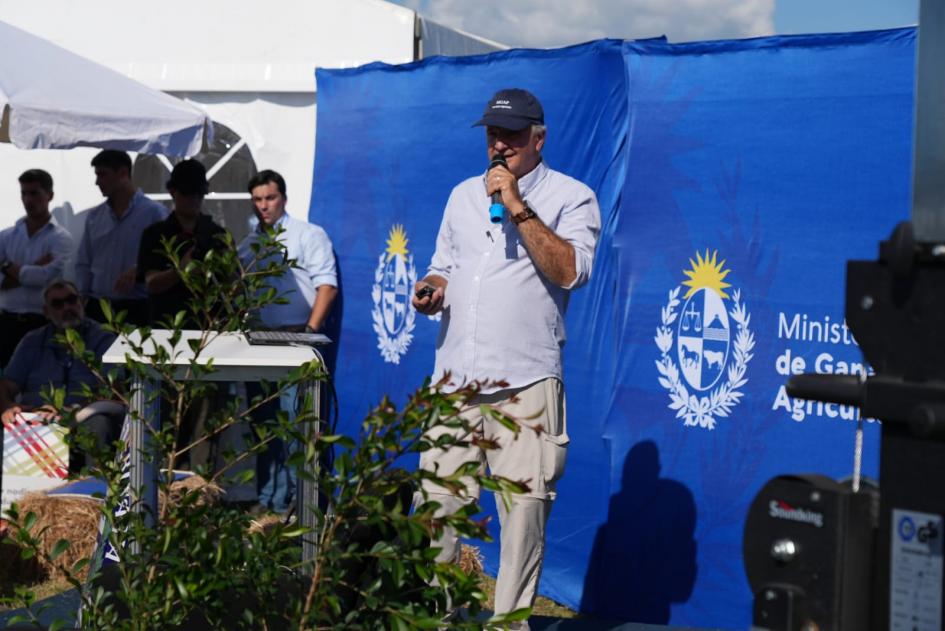 Presentación Presentación