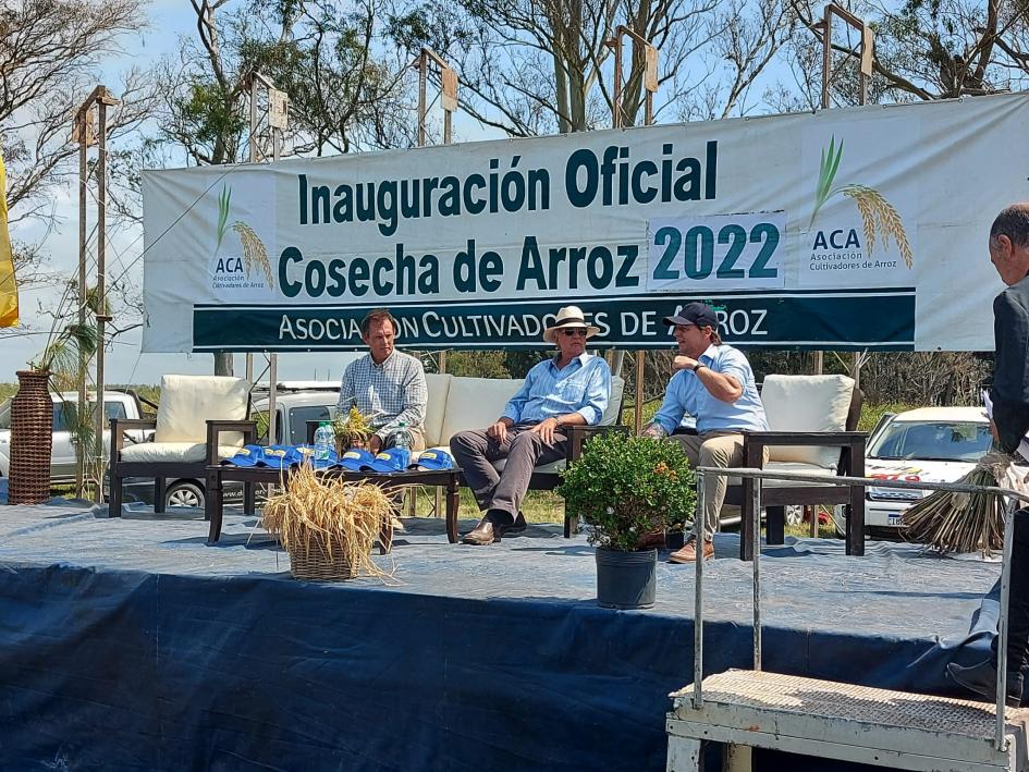 Cosecha del arroz 2022