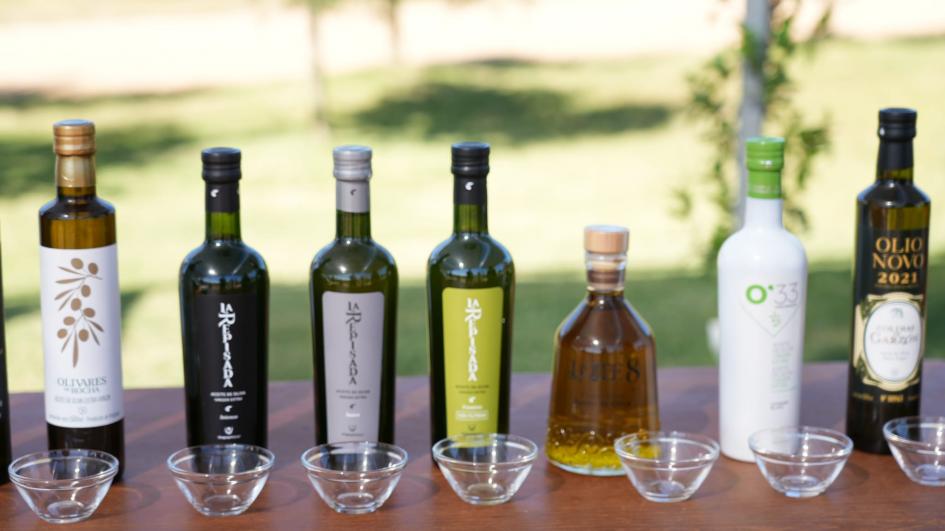 Zafra del Olivo Zafra del Olivo