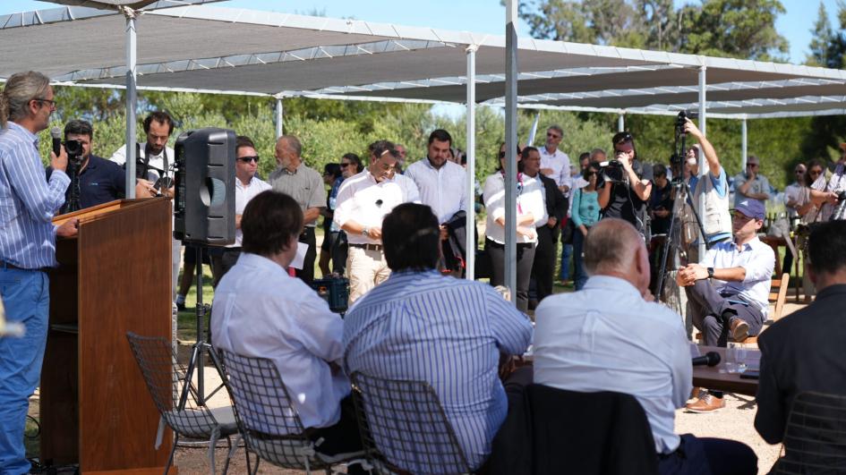 Zafra del Olivo Zafra del Olivo