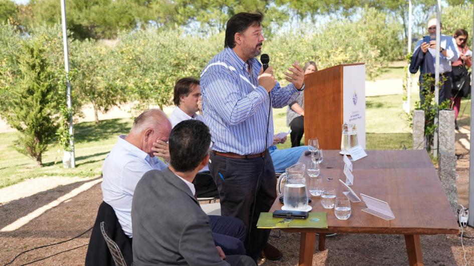 Zafra del Olivo Zafra del Olivo