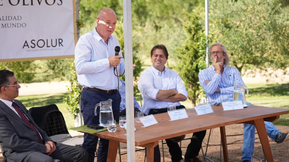 Zafra del Olivo Zafra del Olivo