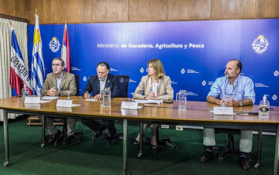 seminario: comunicación, campo y ciudad