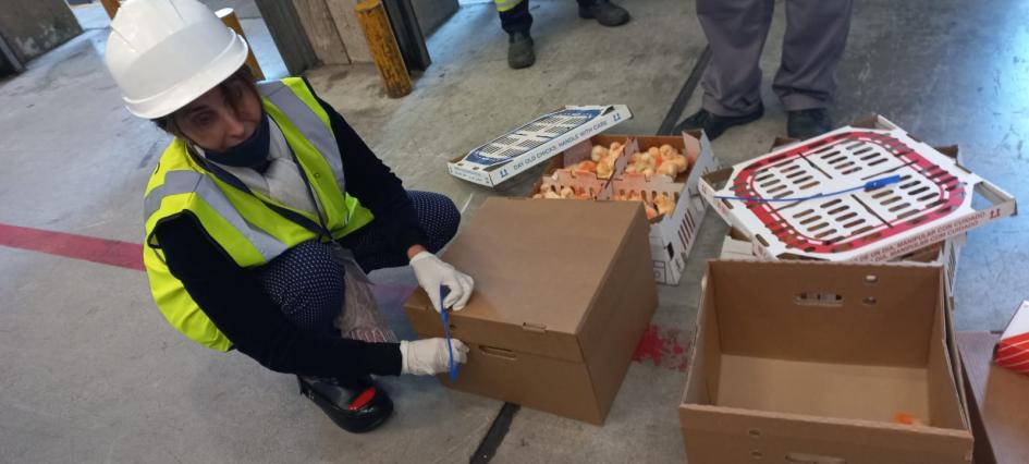 Personal de Sanidad Animal realizando inspección