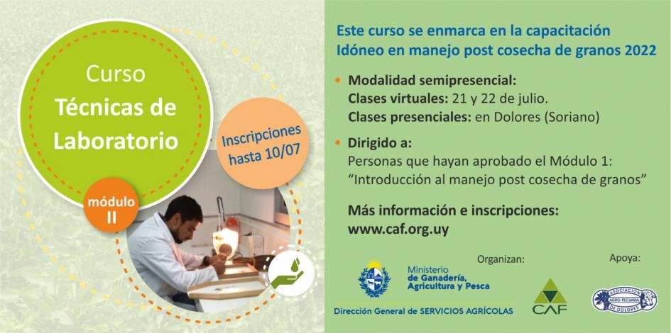 Flyer módulo 2 Flyer módulo 2