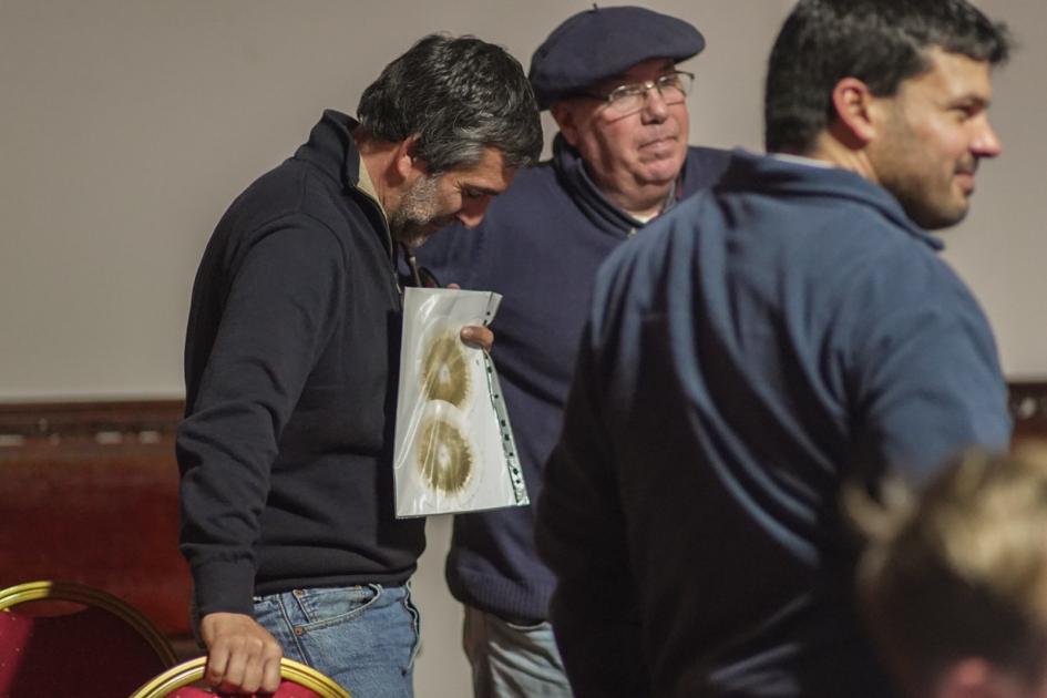 Soriano Soriano