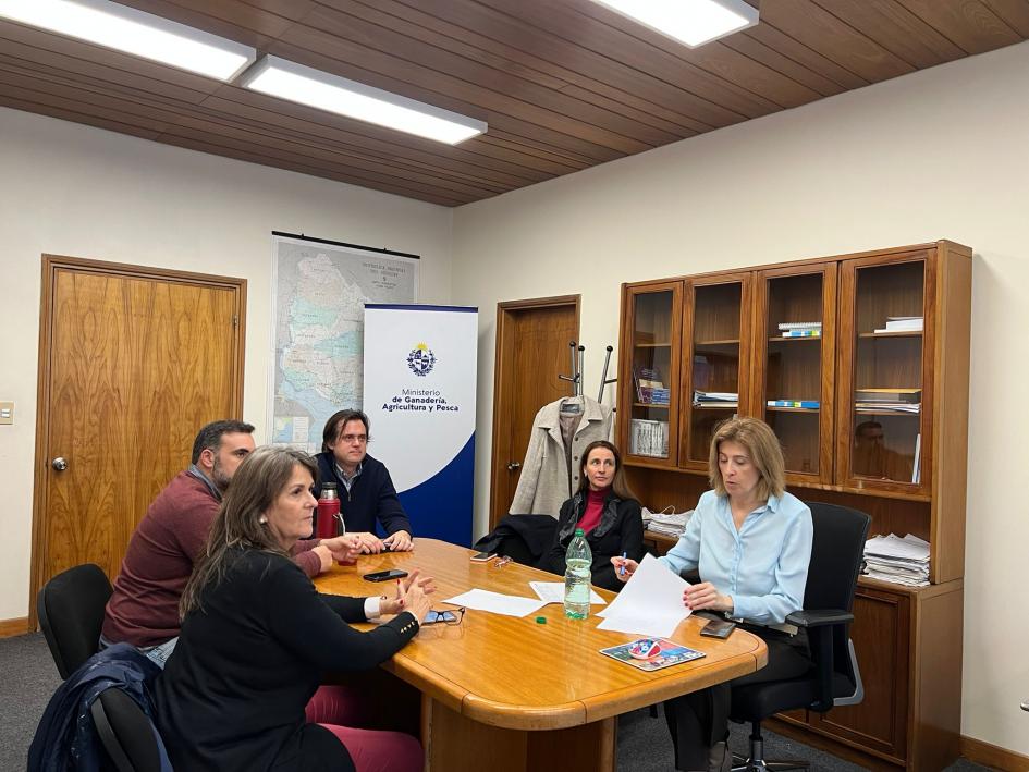 Comisión de Emergencia Comisión de Emergencia