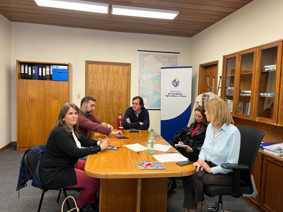 Comisión de Emergencia Comisión de Emergencia