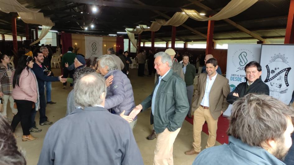 Zafra ovina 2022 Zafra ovina 2022