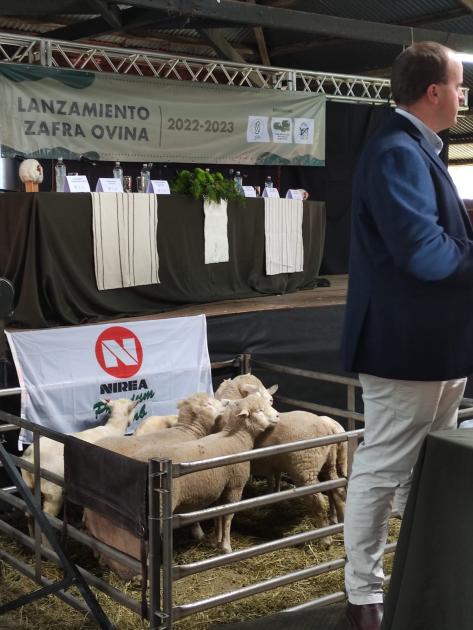 Zafra ovina 2022 Zafra ovina 2022