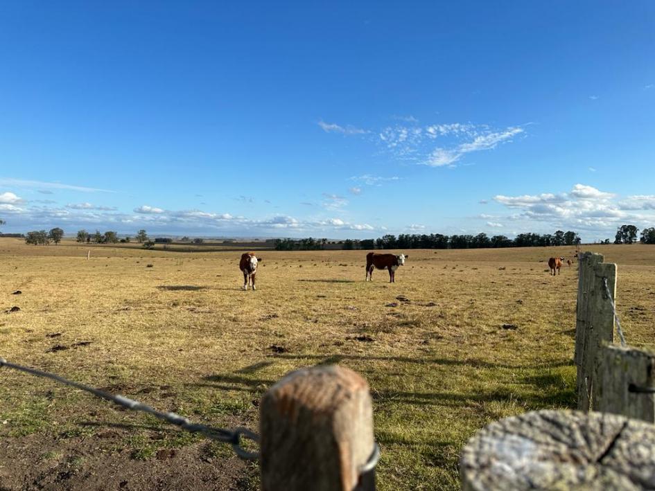 Cerro Largo 