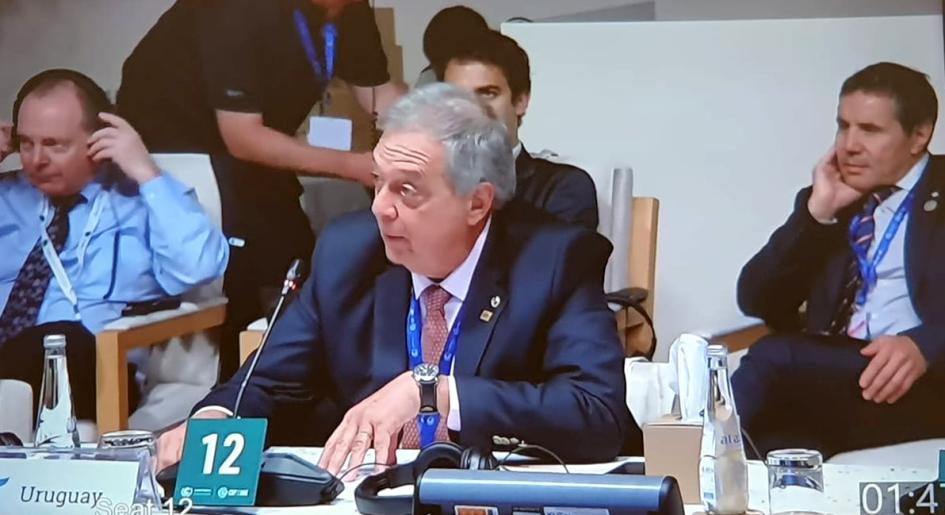 Ministro Fernando Mattos en la COP28 realizada en Dubái