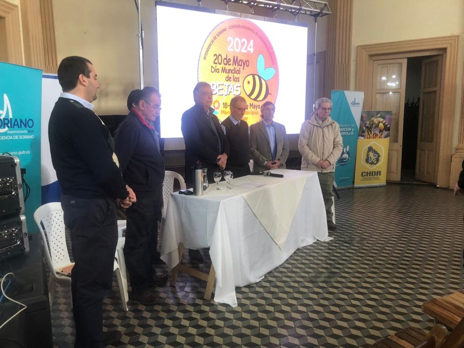 diaabejas beeday2024