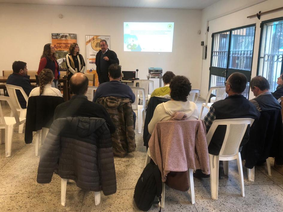 actividad SAU