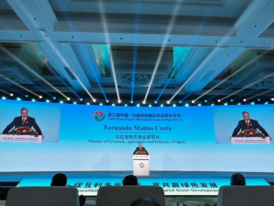 Ministro Mattos en la CELAC Ministro Mattos haciendo presentación