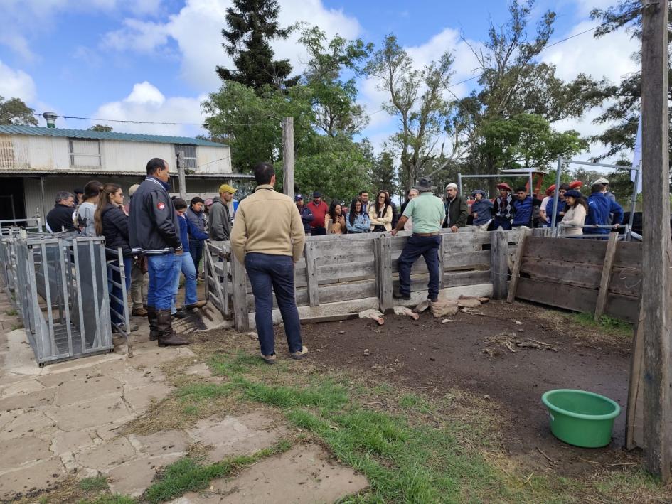 actividad Cicoma Salto actividad Cicoma Salto