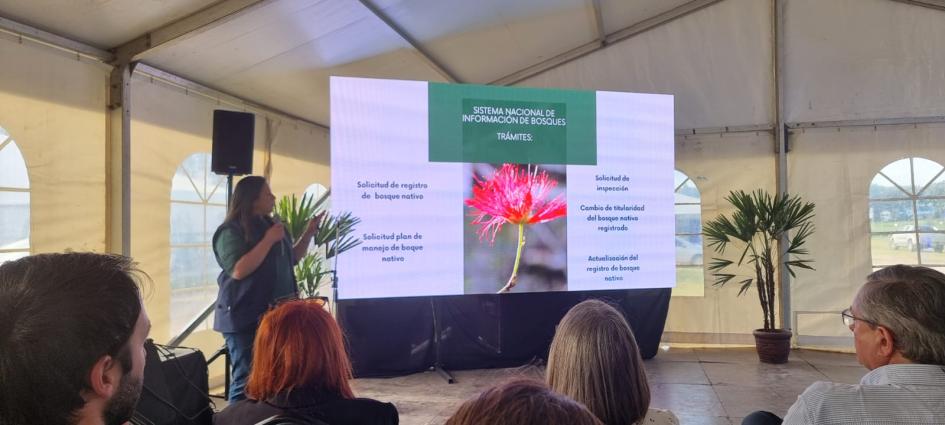 Uruforest 2024: Presentan el Sistema Nacional de Información de Bosques "