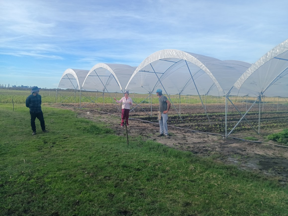 proyecto SAE en San Antonio 