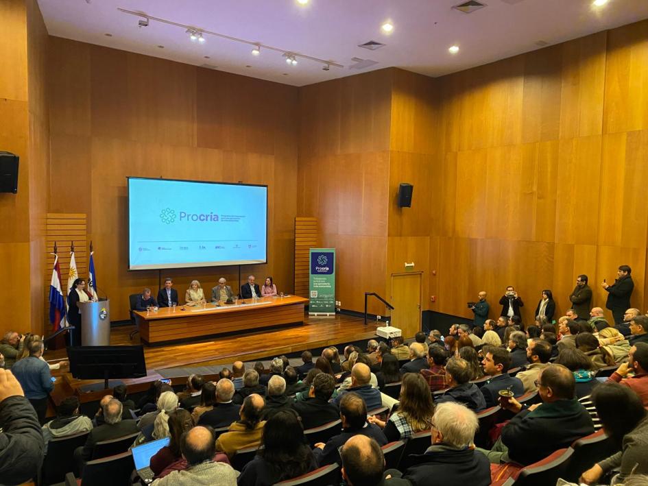 Lanzamiento PROCRÍA