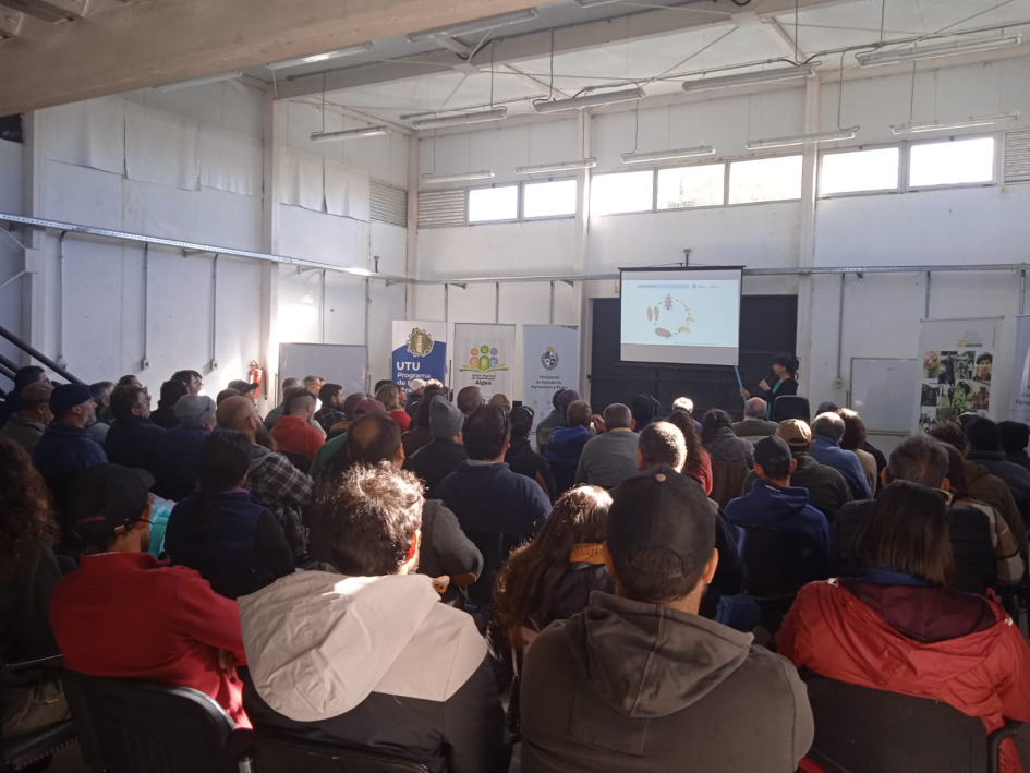 Curso Picudo Rojo Aiguá Curso Picudo Rojo Aiguá