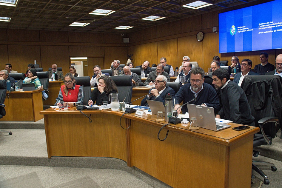 Ley de Presupuesto en Diputados