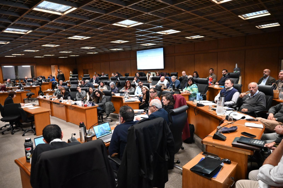 Ley de Presupuesto en Diputados