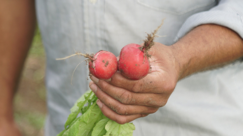 16 de octubre, Día Mundial de la Alimentación 16 de octubre, Día Mundial de la Alimentación