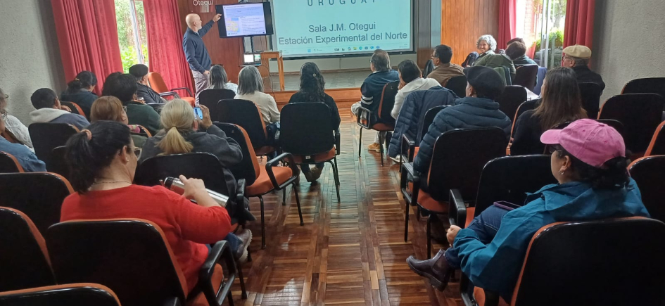 taller PROCCAF taller PROCCAF