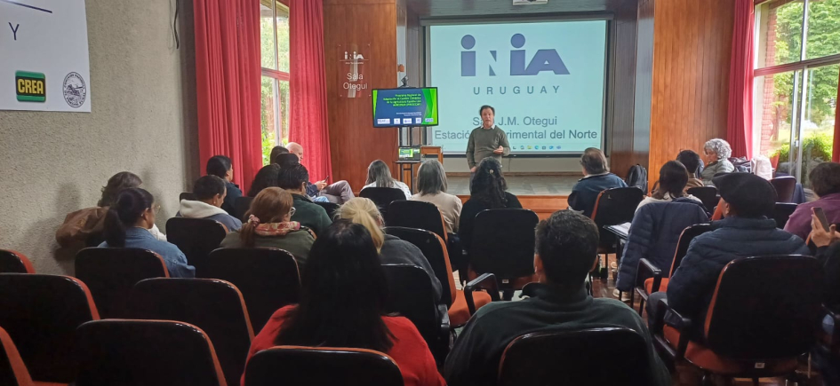 taller PROCCAF taller PROCCAF