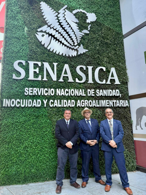 Misión a México Misión a México