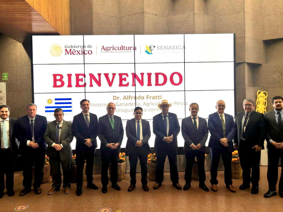 Misión a México Misión a México