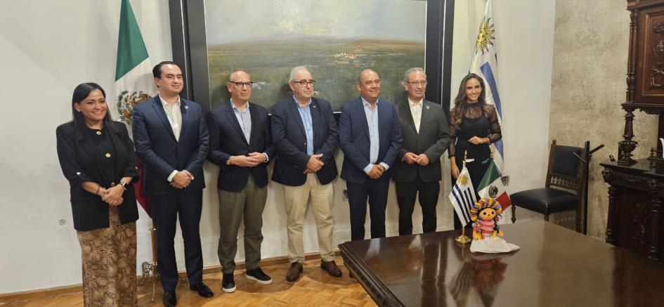 Misión a México Misión a México