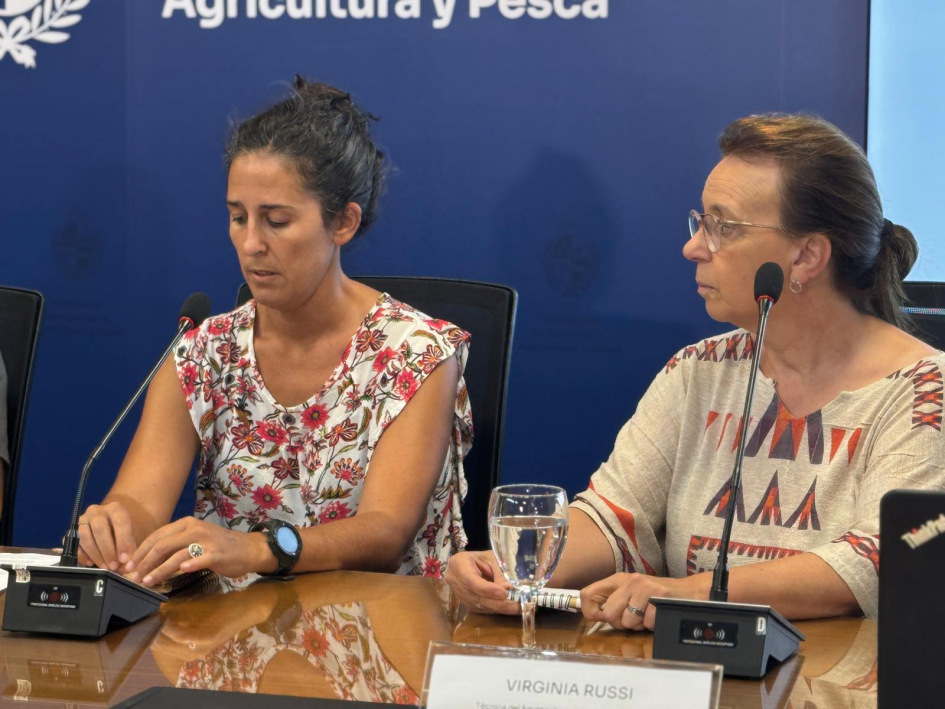 Influenza Aviar Influenza Aviar