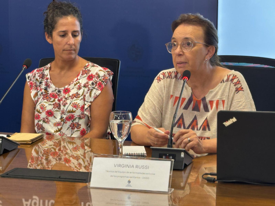 Influenza Aviar Influenza Aviar