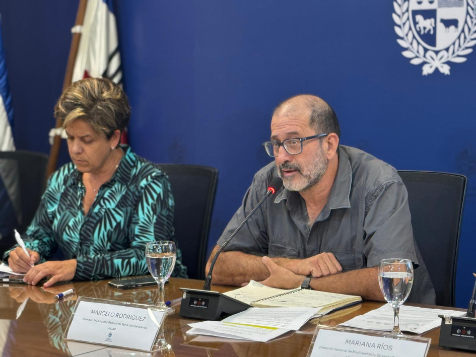 Influenza Aviar Influenza Aviar