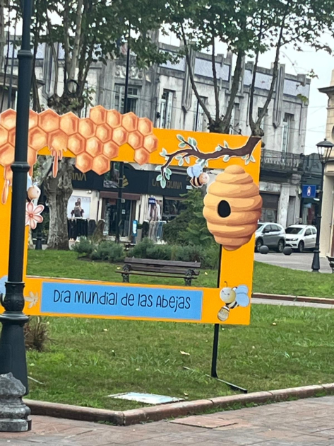 Dia Abejas 26