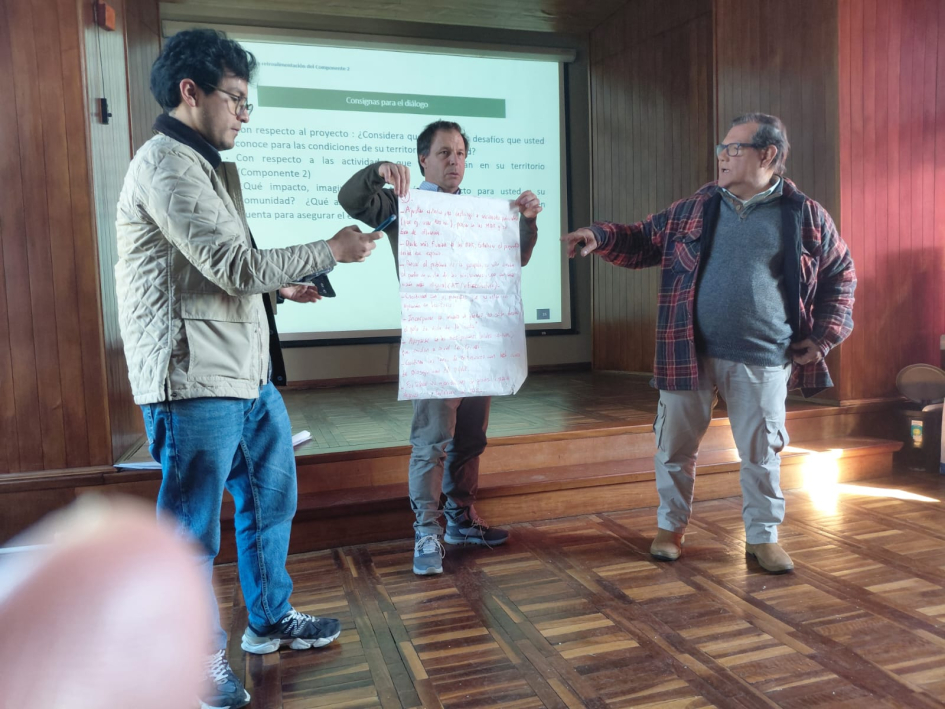 taller PROCCAF taller PROCCAF
