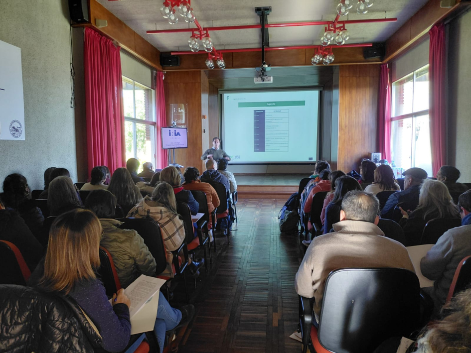 taller PROCCAF taller PROCCAF