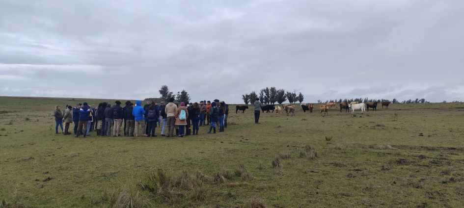 Proyecto de rehabilitación de campos naturales presentó avances y resultados finales