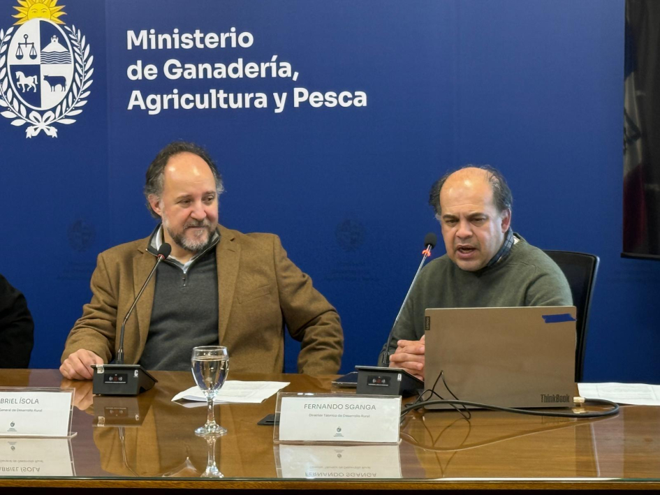director y director técnico de DGDR