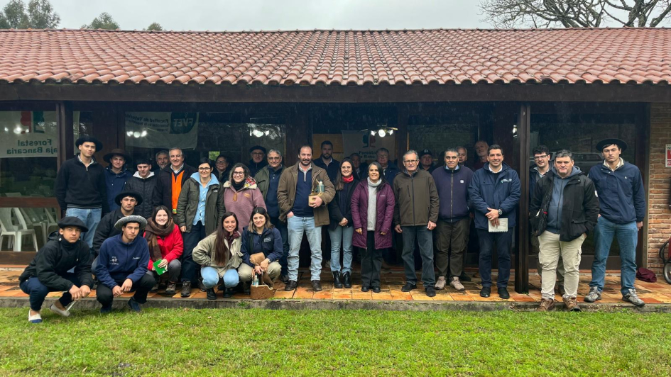 Grupo