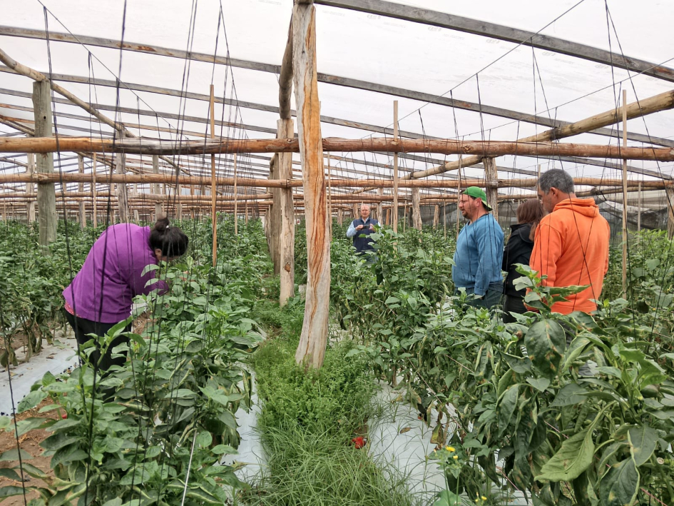 Agroecología