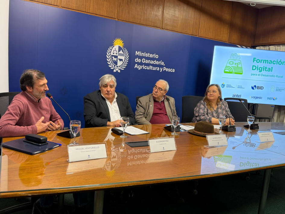 formación digital para el DR
